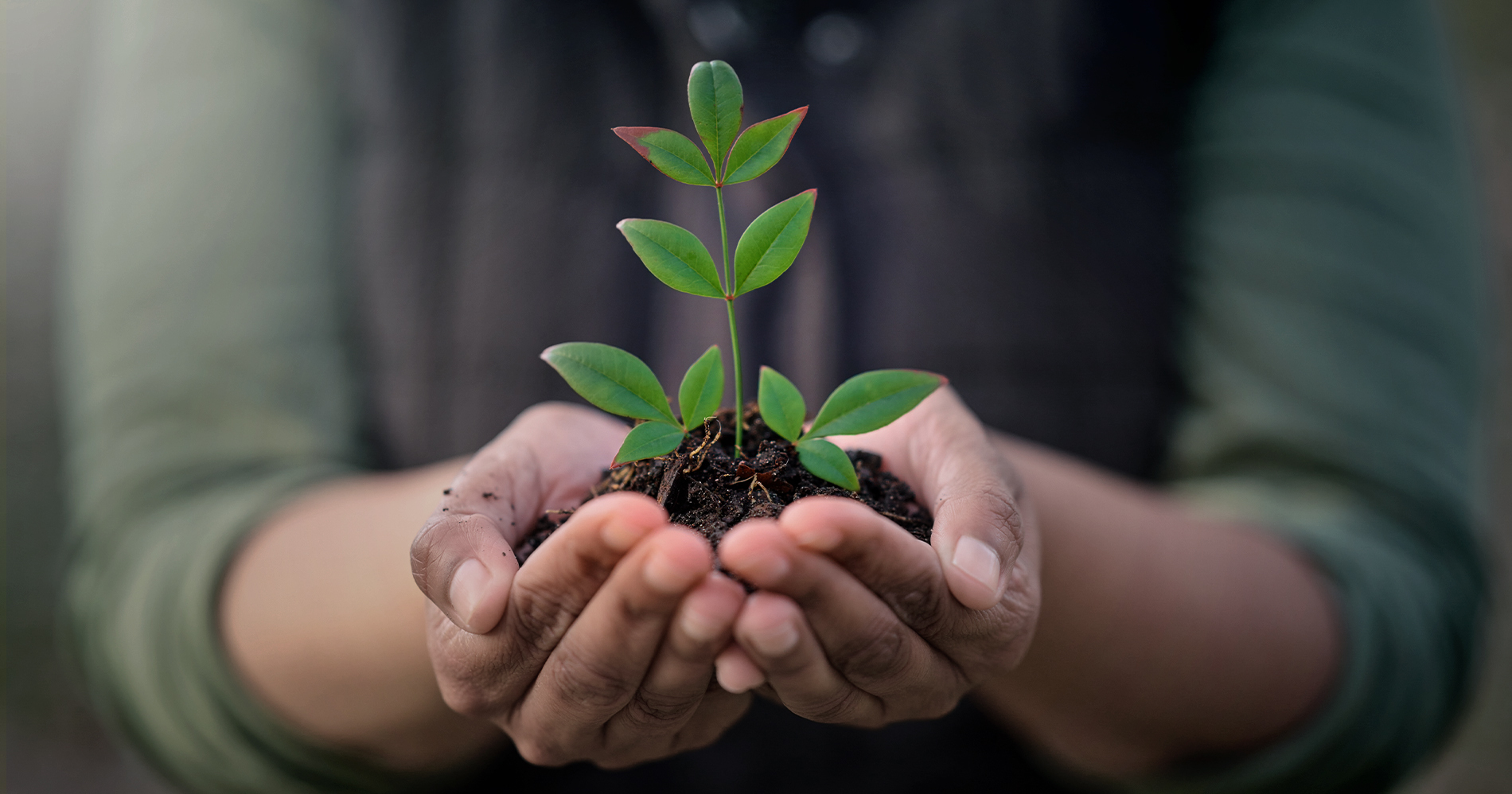Charitable donation hands or charity work